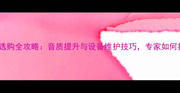 图片 专业指南KTV音响选购全攻略：音质提升与设备维护技巧，专家如何打造顶级视听体验