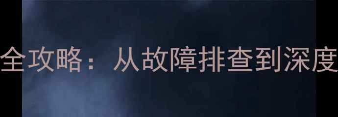 图片 专业指南力士功放维修全攻略：从故障排查到深度保养的120个实用技巧2