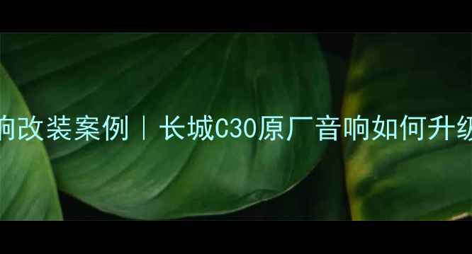 图片 专业级车载音响改装案例｜长城C30原厂音响如何升级成HiFi天籁声