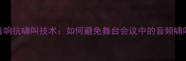图片 专业音响抗啸叫技术：如何避免舞台会议中的音频啸叫问题
