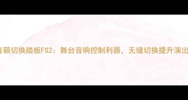 图片 专业音箱切换踏板FS2：舞台音响控制利器，无缝切换提升演出效果2