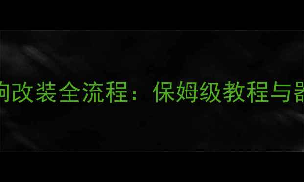 图片 世嘉三厢音响改装全流程：保姆级教程与器材搭配方案