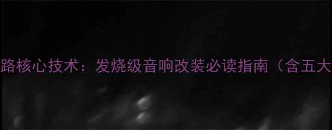 图片 世界顶级功放线路核心技术：发烧级音响改装必读指南（含五大品牌实测对比）