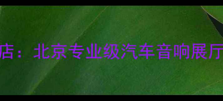 图片 东升音响改装旗舰店：北京专业级汽车音响展厅全（附选购指南）