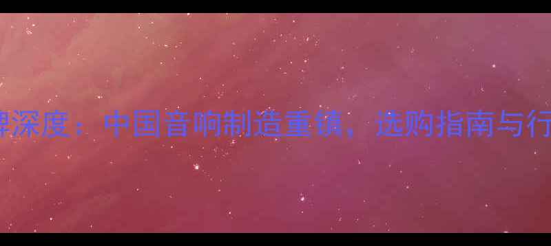 图片 东喇叭音响品牌深度：中国音响制造重镇，选购指南与行业口碑全公开2