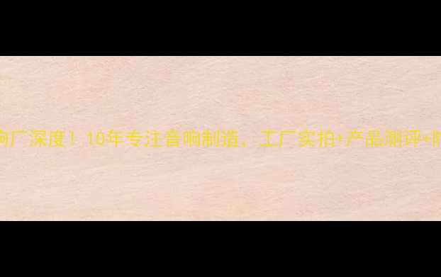 图片 东莞虎门莱利音响厂深度！10年专注音响制造，工厂实拍+产品测评+隐藏福利全公开🔥
