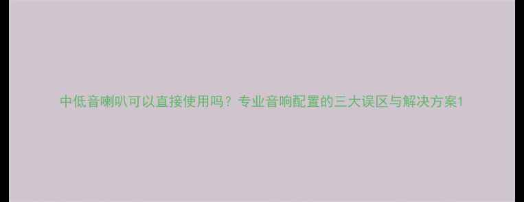 图片 中低音喇叭可以直接使用吗？专业音响配置的三大误区与解决方案1