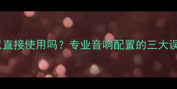 图片 中低音喇叭可以直接使用吗？专业音响配置的三大误区与解决方案2