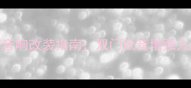 图片 中华H530后门音响改装指南：双门低音增强方案与DIY教程2