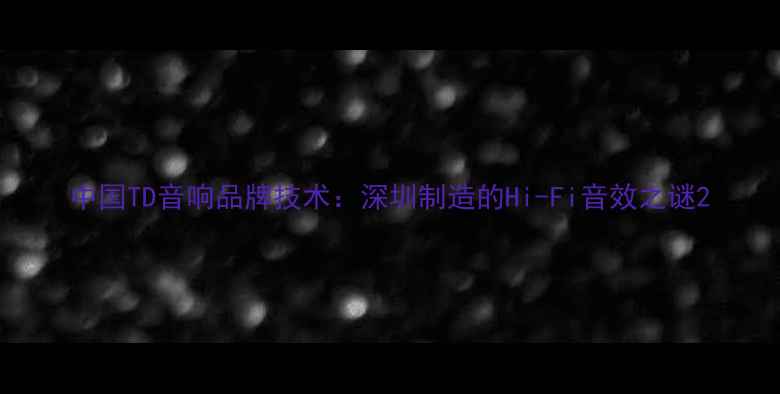图片 中国TD音响品牌技术：深圳制造的Hi-Fi音效之谜2