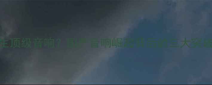 图片 中国能否诞生顶级音响？国产音响崛起背后的三大突破与行业痛点