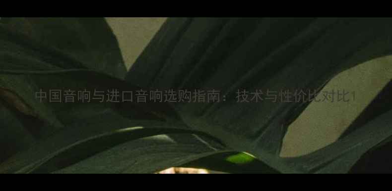 图片 中国音响与进口音响选购指南：技术与性价比对比1