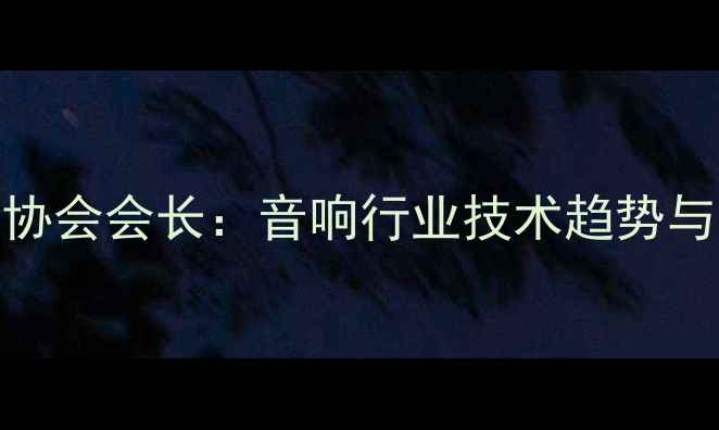图片 中国音响协会会长：音响行业技术趋势与市场洞察