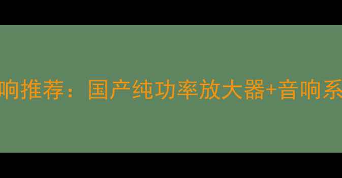 图片 中国高端音响推荐：国产纯功率放大器+音响系统终极指南