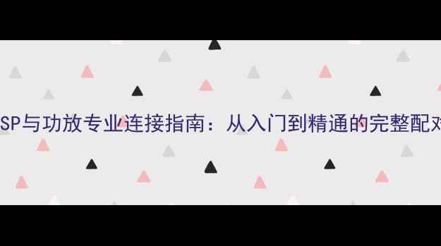 图片 中道DSP与功放专业连接指南：从入门到精通的完整配对方案
