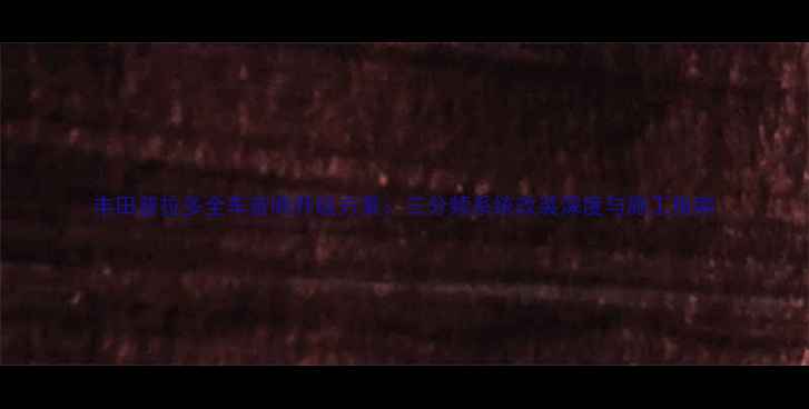 图片 丰田普拉多全车音响升级方案：三分频系统改装深度与施工指南