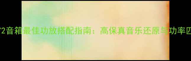 图片 丹拿372音箱最佳功放搭配指南：高保真音乐还原与功率匹配全1