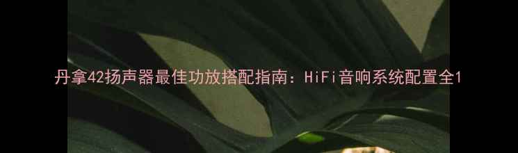 图片 丹拿42扬声器最佳功放搭配指南：HiFi音响系统配置全1