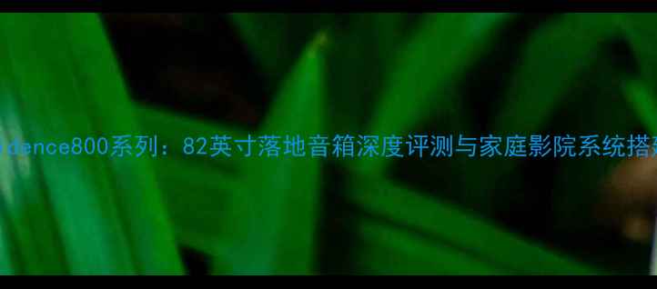 图片 丹拿Evidence800系列：82英寸落地音箱深度评测与家庭影院系统搭建指南2