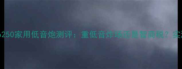 图片 丹拿Sub250家用低音炮测评：重低音炸场还是智商税？实测数据2