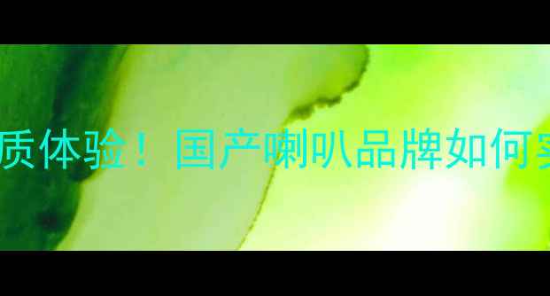 图片 丹拿同款音质体验！国产喇叭品牌如何实现高保真1