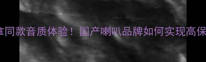 图片 丹拿同款音质体验！国产喇叭品牌如何实现高保真2