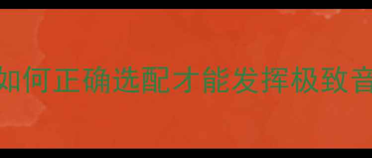图片 丹拿音响搭配全攻略：如何正确选配才能发挥极致音效（附5大避坑指南）1