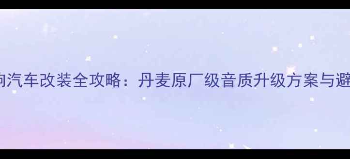 图片 丹拿音响汽车改装全攻略：丹麦原厂级音质升级方案与避坑指南2