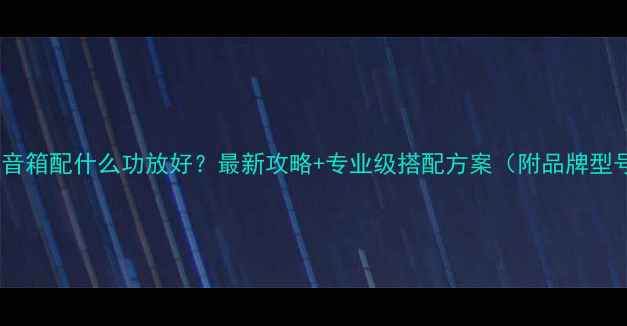 图片 丹拿音箱配什么功放好？最新攻略+专业级搭配方案（附品牌型号）2