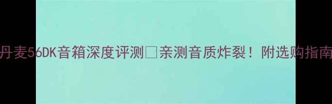 图片 丹麦56DK音箱深度评测🔥亲测音质炸裂！附选购指南