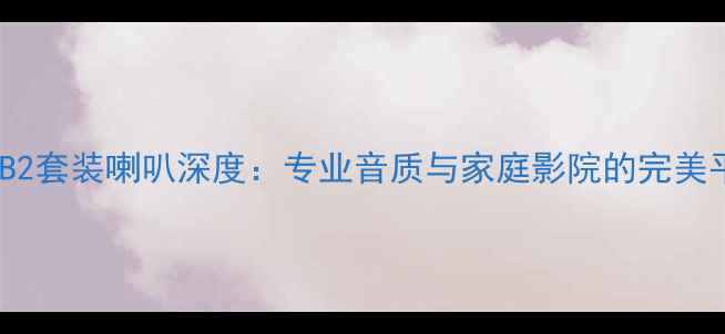 图片 丹麦B2套装喇叭深度：专业音质与家庭影院的完美平衡1