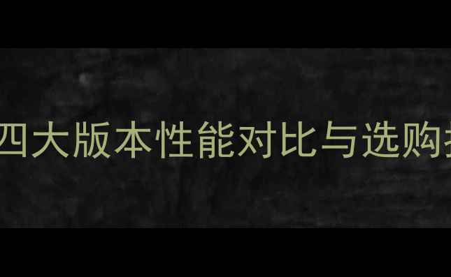 图片 丹麦Densen功放全：四大版本性能对比与选购指南（附技术参数）1