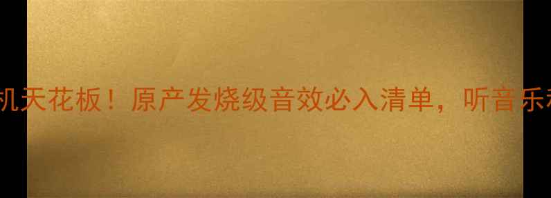 图片 丹麦车载功放机天花板！原产发烧级音效必入清单，听音乐秒变私人影院2