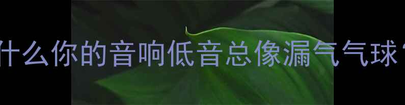 图片 为什么你的音响低音总像漏气气球？1