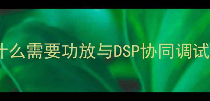 图片 为什么需要功放与DSP协同调试？2
