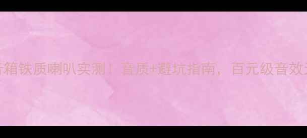 图片 乐富豪音箱铁质喇叭实测！音质+避坑指南，百元级音效天花板？