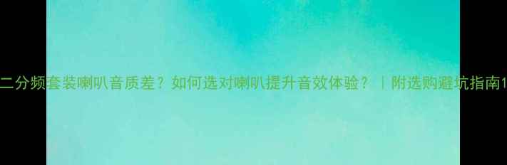 图片 二分频套装喇叭音质差？如何选对喇叭提升音效体验？｜附选购避坑指南1