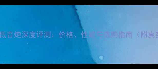 图片 二手宝华12寸低音炮深度评测：价格、性能与选购指南（附真实用户反馈）1