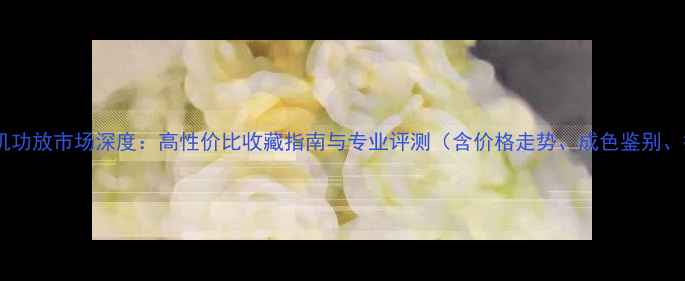 图片 二手德国胆机功放市场深度：高性价比收藏指南与专业评测（含价格走势、成色鉴别、投资价值）2