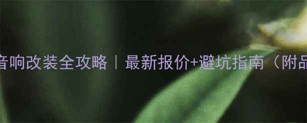图片 五菱荣光音响改装全攻略｜最新报价+避坑指南（附品牌推荐）