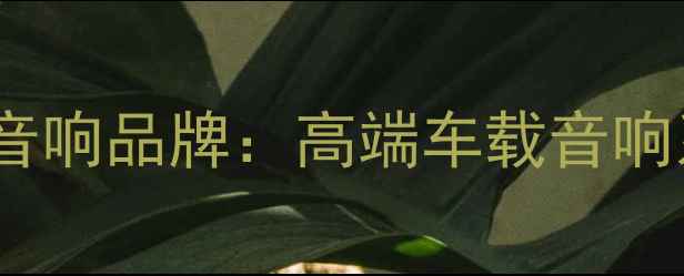 图片 以色列摩雷汽车音响品牌：高端车载音响系统改装全指南1