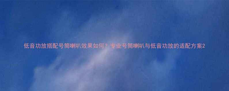 图片 低音功放搭配号筒喇叭效果如何？专业号筒喇叭与低音功放的适配方案2