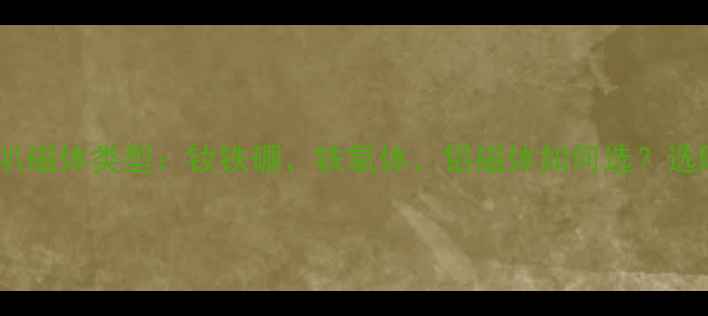 图片 低音喇叭磁体类型：钕铁硼、铁氧体、铝磁体如何选？选购指南1