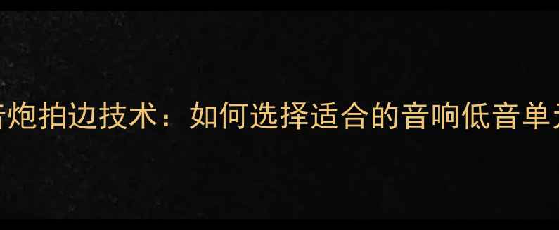 图片 低音炮拍边技术：如何选择适合的音响低音单元？