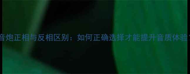 图片 低音炮正相与反相区别：如何正确选择才能提升音质体验？1