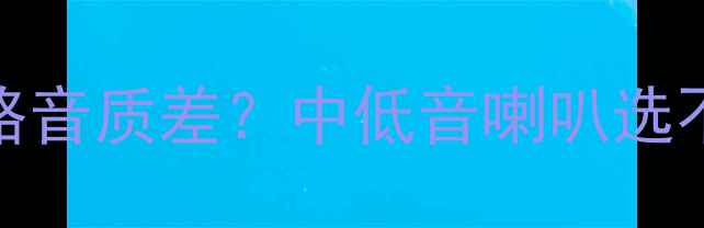 图片 低音炮选购全攻略音质差？中低音喇叭选不对，耳朵受罪！