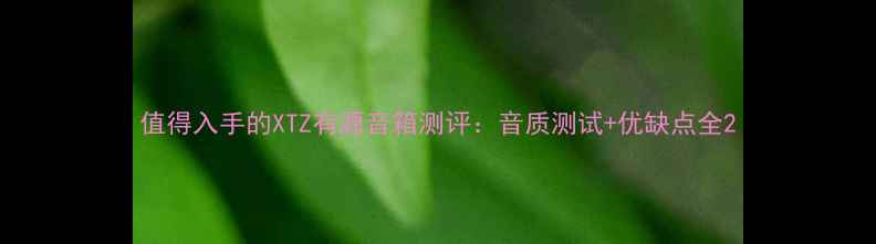 图片 值得入手的XTZ有源音箱测评：音质测试+优缺点全2