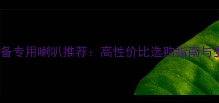 图片 充皇冠设备专用喇叭推荐：高性价比选购指南与安装技巧2