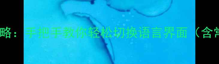 图片 先锋功放中文设置全攻略：手把手教你轻松切换语言界面（含常见问题与选购建议）1