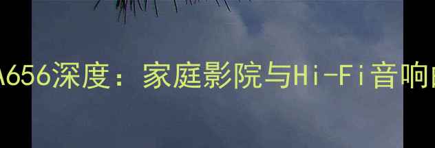 图片 先锋功放机A656深度：家庭影院与Hi-Fi音响的完美平衡2